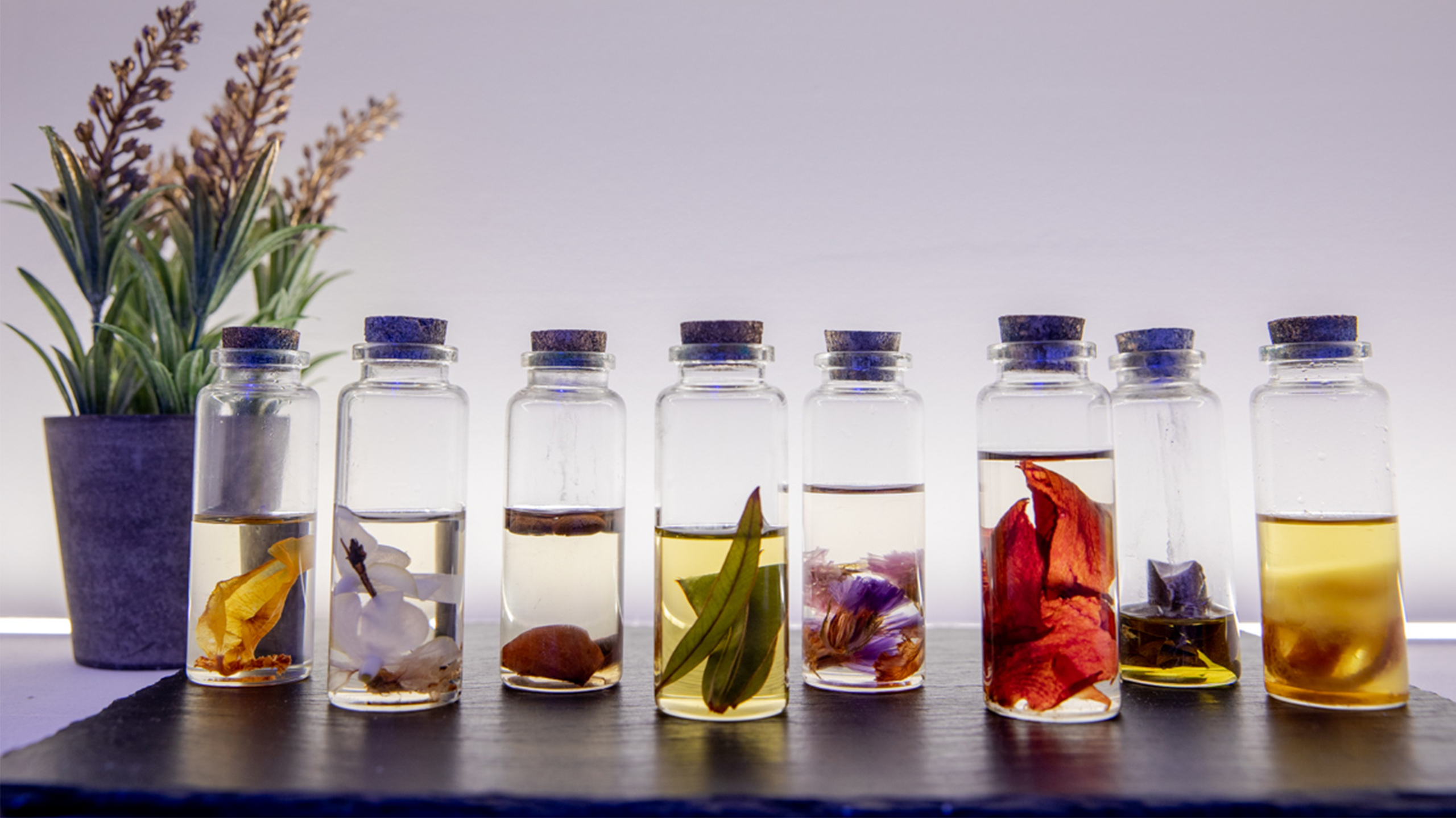 Albero también formula los aceites esenciales que emplea en los masajes que ofrece en su centro.