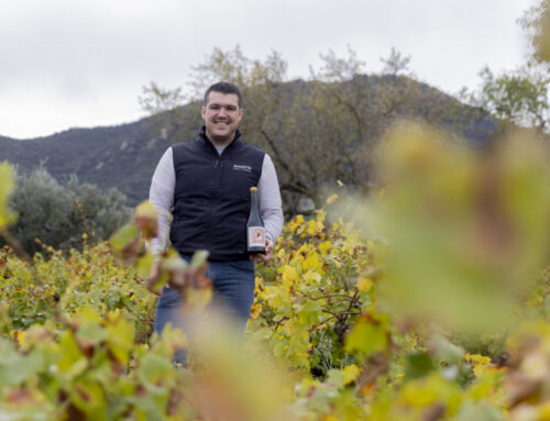 El joven Josu Amatria ya exporta sus vinos desde Artajona a seis países y prevé crecer un 20 % en 2026