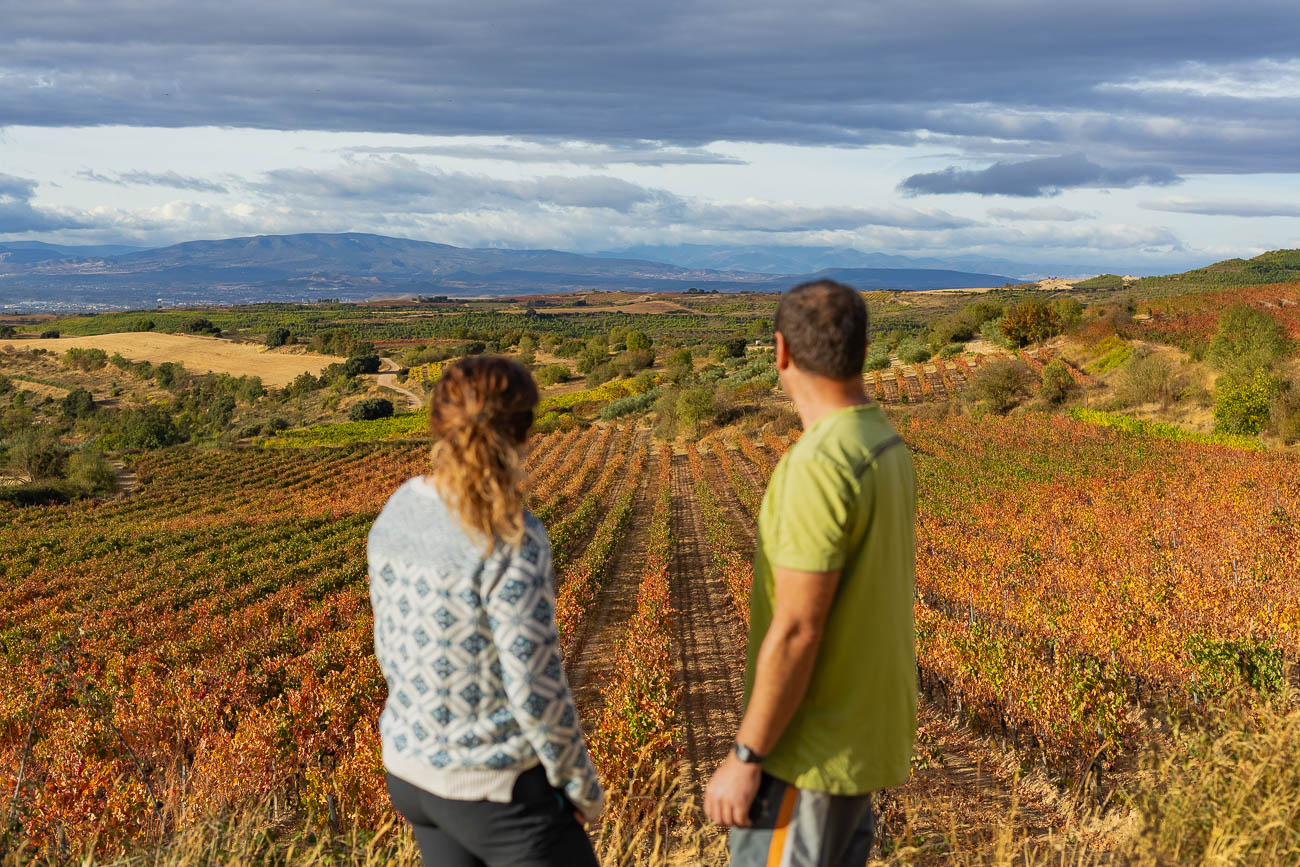 Carmen Remírez y Manolo Hernández elaborarán 6.000 litros de vino al año