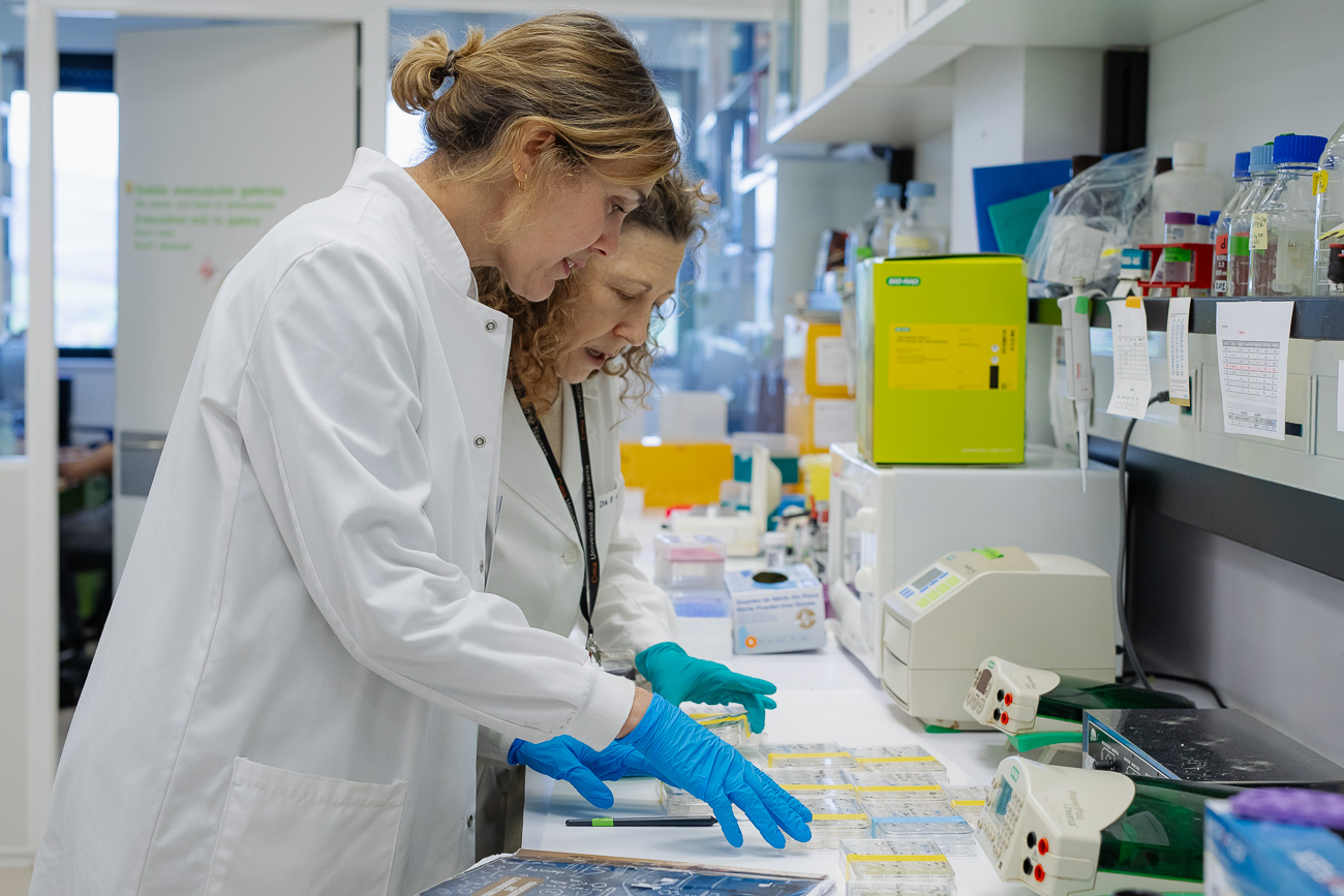 Microbiólogos, inmunólogos, especialistas en biología estructural y neurocientíficos trabajan juntos en el proyecto Memorial. 