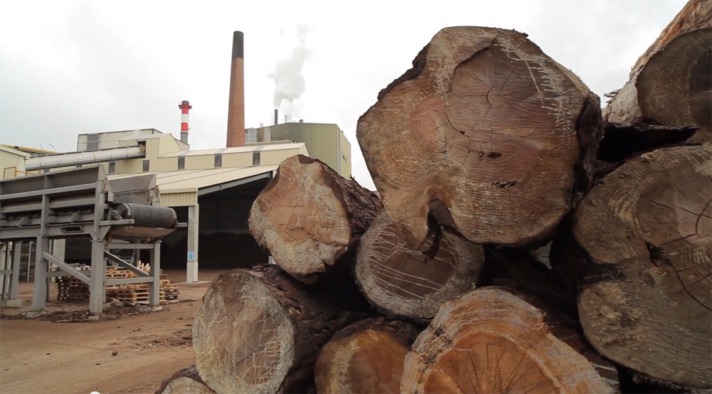 Biomasa, un sector económico en auge en Navarra