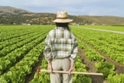 joven agricultor, agricultura