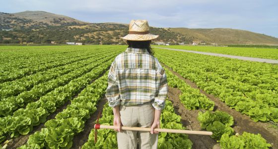 Navarra promueve la agricultura ecológica con 6,3 M. de €