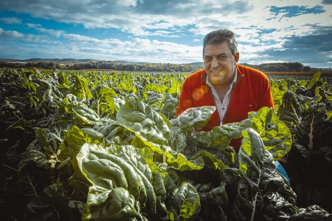 Gumendi, el renacer más sostenible de los campos