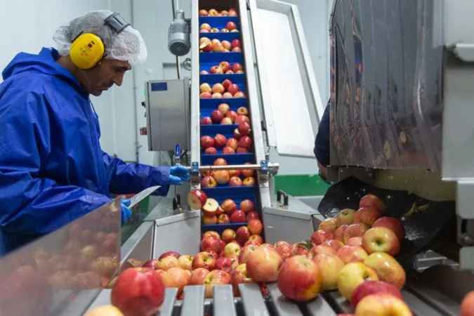 Iberfruta, Viscofan, Gumendi y General Mills recibirán un total de 2,28 millones del PERTE Agro
