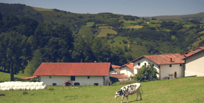 Kaiku recogió en 2016 el 70% de la leche producida en Navarra