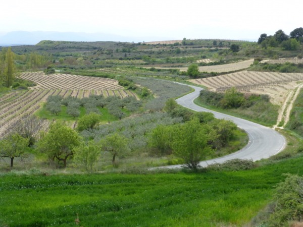 Navarra quiere una reforma que permita una PAC fuerte