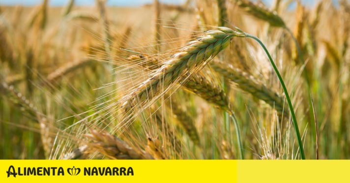 Cómo el Internet de las Cosas (IoT) ha cambiado al sector agrícola