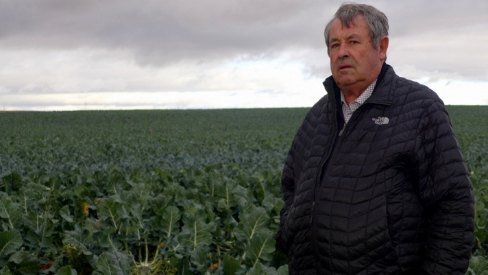 Enrique Castel Ruiz reclama una «marca España» que proteja la producción  de alcachofas