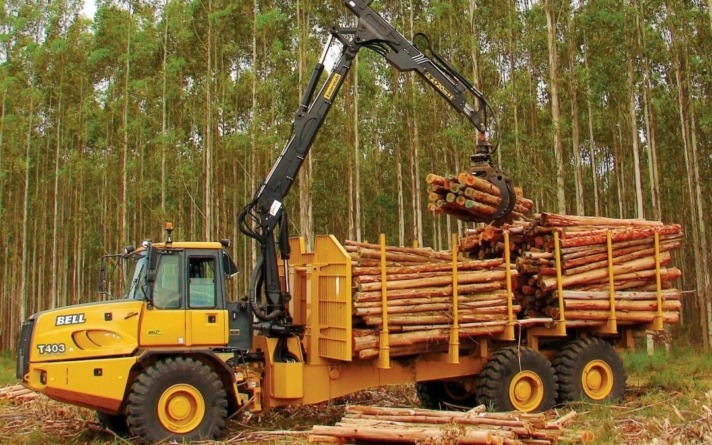 El sector que pide más madera