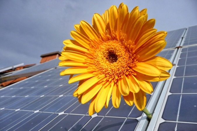 INGETEAM muestra al sector agroalimentario los beneficios de la energía solar fotovoltaica