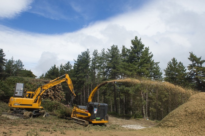 Un proyecto piloto busca obtener astilla para biomasa en el Valle de Roncal