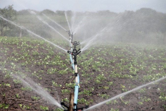 Un foro para debatir sobre el futuro del agua y la agricultura