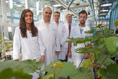 Intia y la Universidad de Navarra desarrollan una tecnología para fabricar nuevos fertilizantes