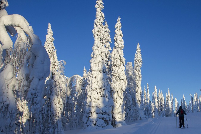 El esquí de fondo es otra de las actividades más comunes en la región.