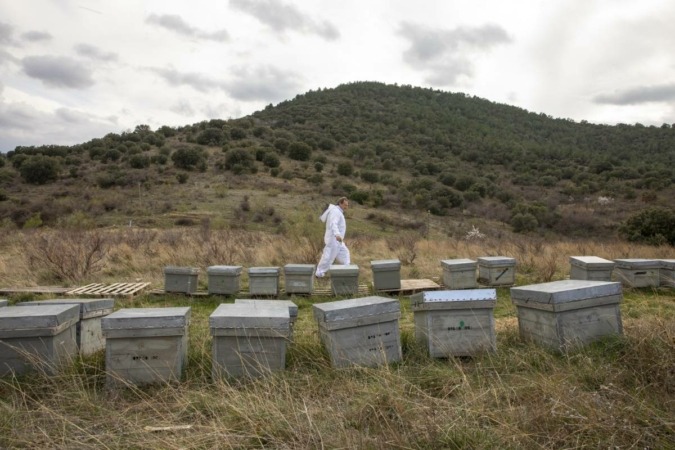 Los apicultores navarros prevén una producción “desastrosa” por las olas de calor