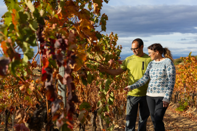 La tercera generación de una centenaria saga de viticultores abrirá su propia bodega en Bargota