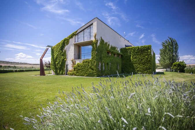 La empresa navarra Aceite Artajo, reconocida como la Mejor Almazara Ecológica del Mundo