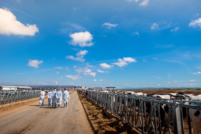 Valle de Odieta solicita ampliar su capacidad en Caparroso hasta las 9.678 vacas