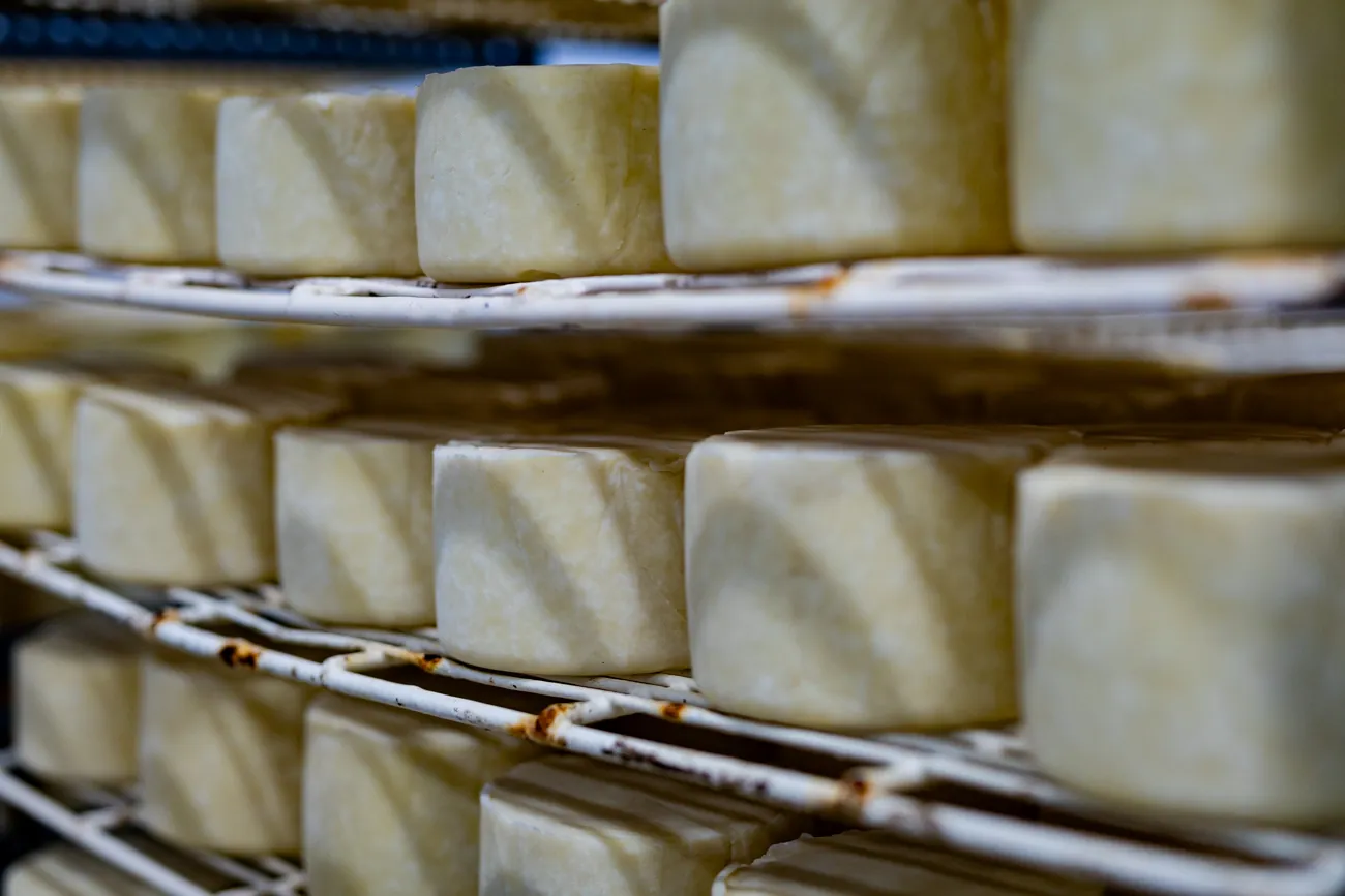 En la quesería de Vidángoz se elabora queso Roncal DOP, sin denominación y Gazta Zaharra.