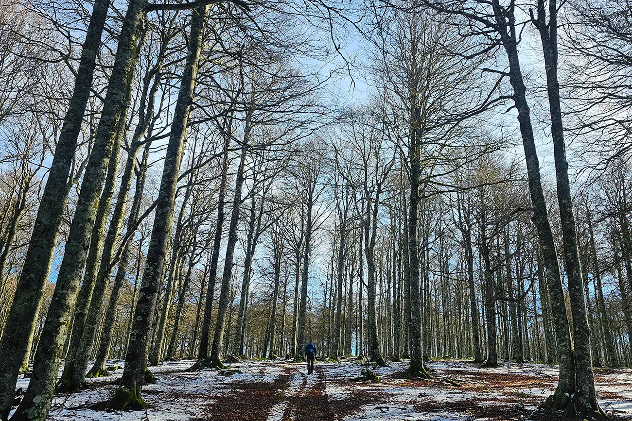 Con una distancia de 13,56 kilómetros, este recorrido permite explorar paisajes impresionantes a una altitud máxima de 1.369 metros.