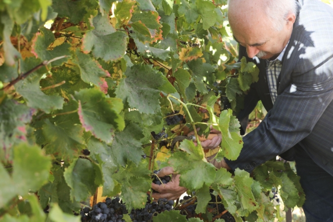 Navarra aumentará en 700.000 euros el presupuesto para promocionar sus vinos