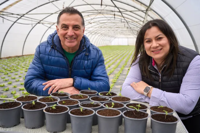 Los primeros chiles habaneros cultivados en Navarra saldrán a la venta en mayo