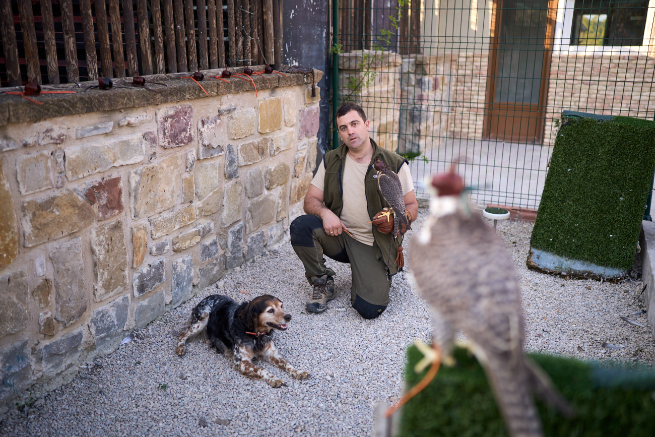 Gesfauna cuenta con unas treinta rapaces y tres unidades caninas para sus labores de control de fauna.
