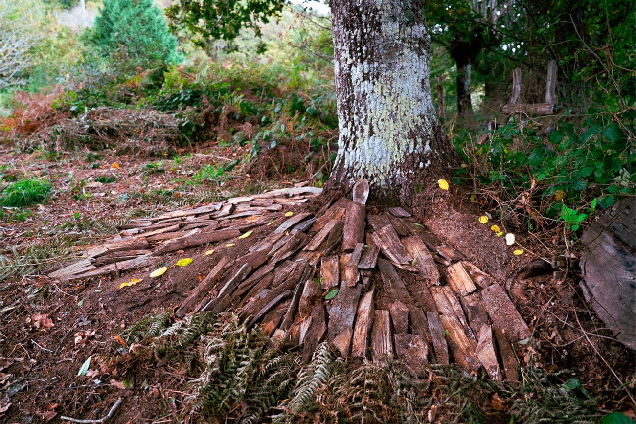 En la actividad se crea arte efímero con materiales naturales que el propio bosque ofrece.