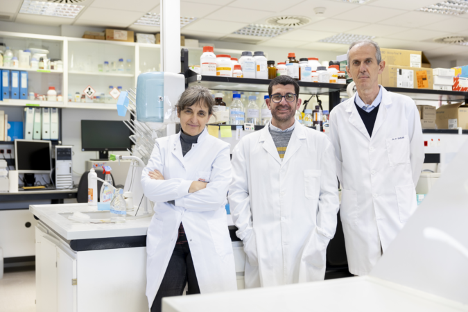 En busca de nuevas microproteínas para desarrollar inmunoterapias revolucionarias contra el cáncer