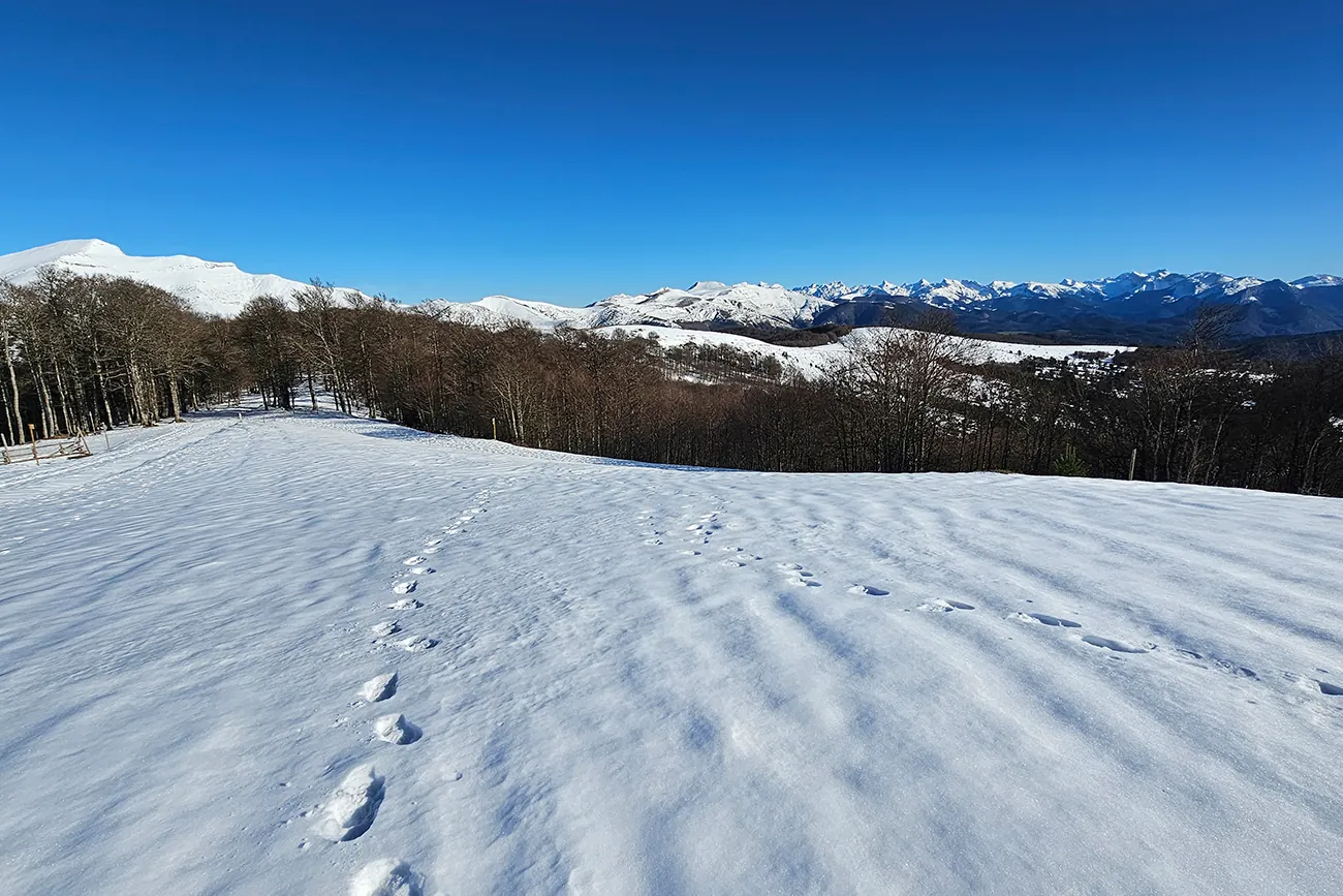 La sierra de Abodi es una sierra de los Prepirineos Occidentales, que arranca del Pico de Orhi y separa los valles de Irati y Salazar.