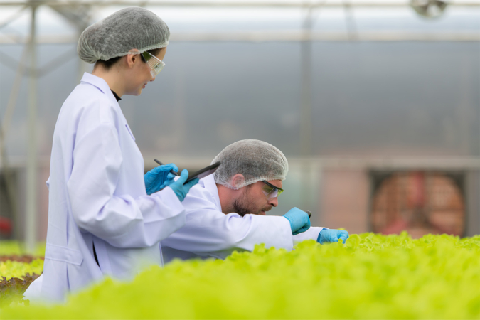 Los riesgos emergentes que ya desafían a la industria agroalimentaria