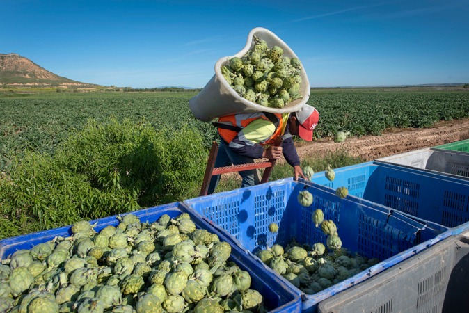 La subida salarial acordada hasta 2025 para 2.500 trabajadores del sector agropecuario