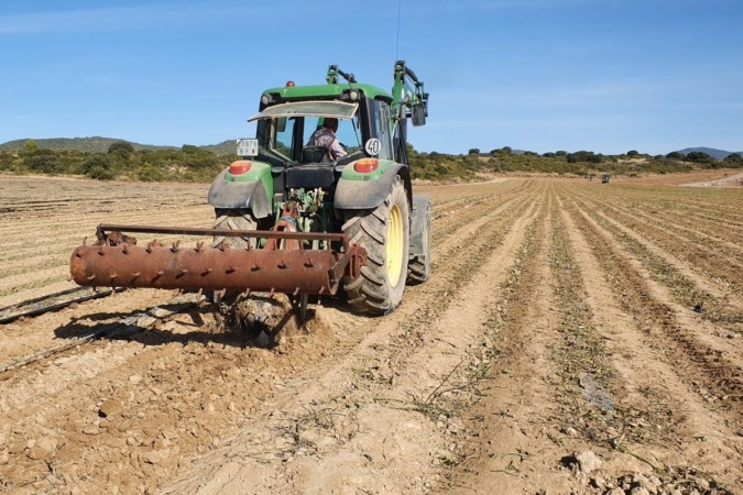 Los agricultores y ganaderos de Navarra percibirán 67 millones en pagos anticipados de la PAC