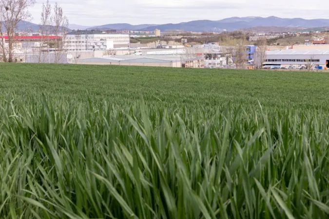 UAGN demandará al Gobierno de Navarra «por las graves pérdidas económicas al no poder cosechar»