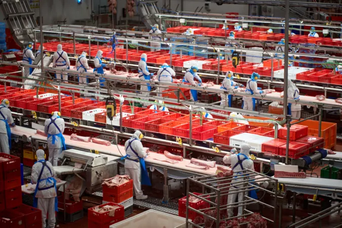 Cárnicas Iruña ha recibido 2 millones en ayudas para sus instalaciones de Lumbier