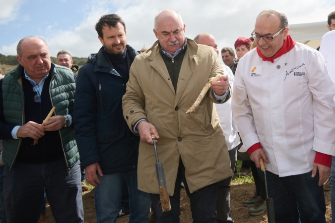Tres cuartas partes del espárrago recogido en Navarra están certificadas por la Indicación Geográfica Protegida