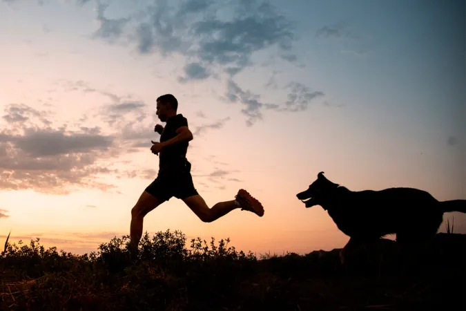 Los mejores caminos de la Comarca de Pamplona para hacer running con tu perro