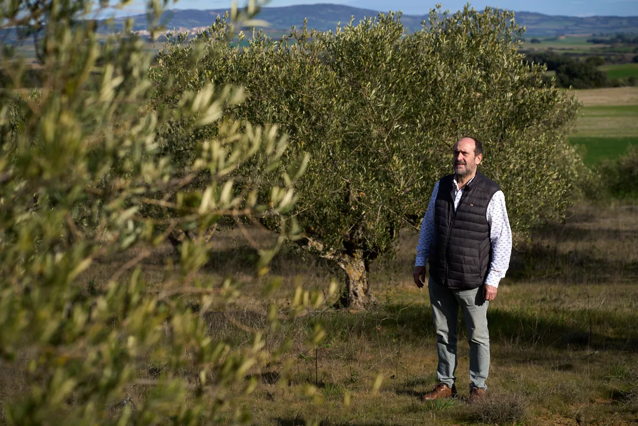 Nuestro protagonista fundó el centro tecnológico navarro Lurederra, donde ejerce como presidente. 