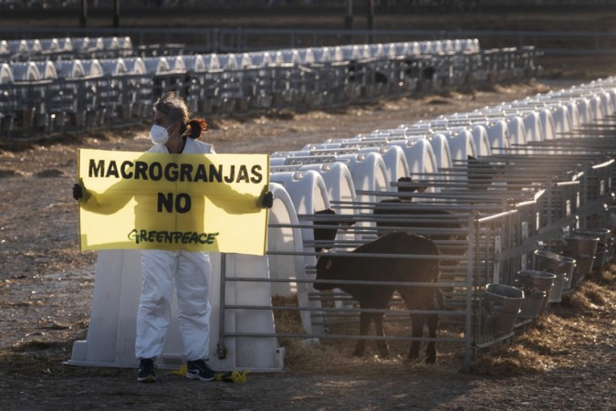 La macrogranja de Caparroso demanda al responsable de Ganadería de Greenpeace España
