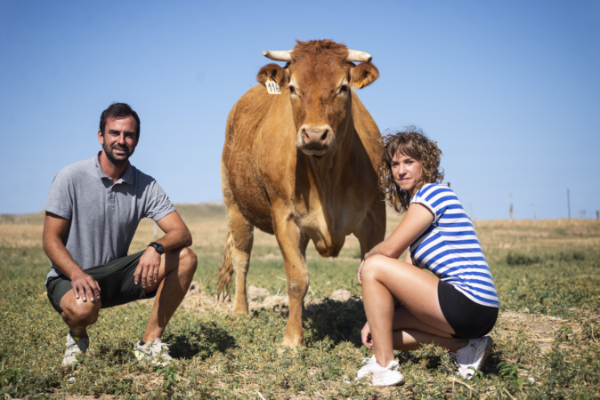 La ganadería de Ablitas Arriazu dobla su apuesta por la carne de vacuno