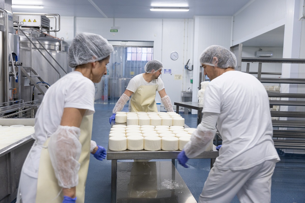 Dorrea produce 460 toneladas de queso al año, de las que unas 380 son DOP Idiazabal.