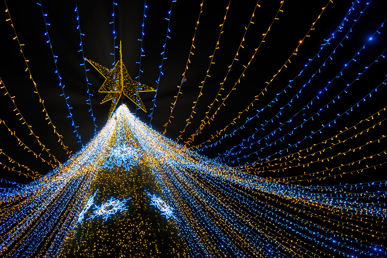 Desde el árbol resplandeciente hasta el jardín iluminado, cada rincón puede brillar con el espíritu navideño.