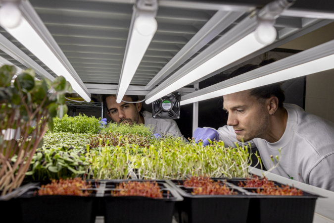 El tatuador y el cocinero de Pamplona que han creado la primera empresa navarra de ‘microgreens’