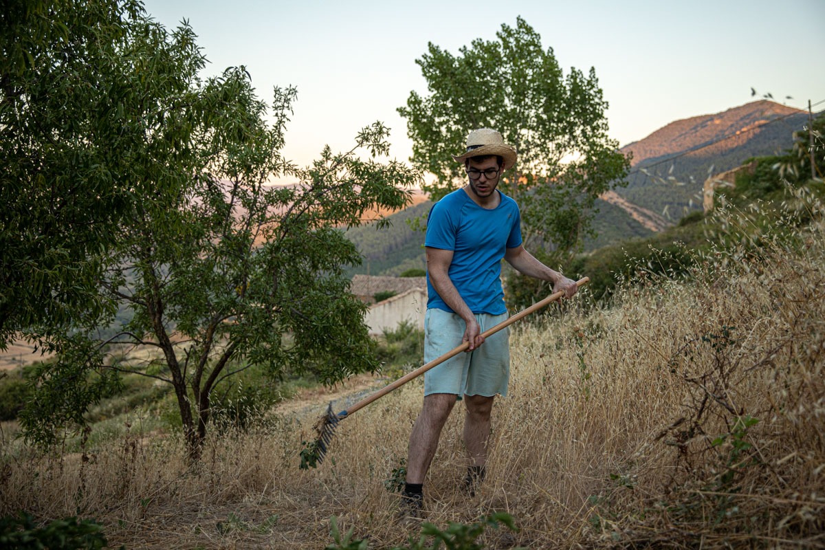 Larriba ha recuperado el olivar de la familia y ha creado su propio huerto.