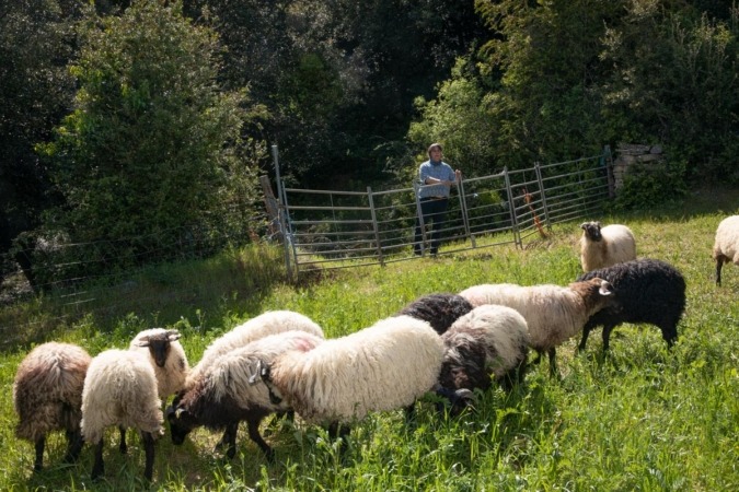 Las mujeres gestionan el 29,5 % de las explotaciones agrarias navarras