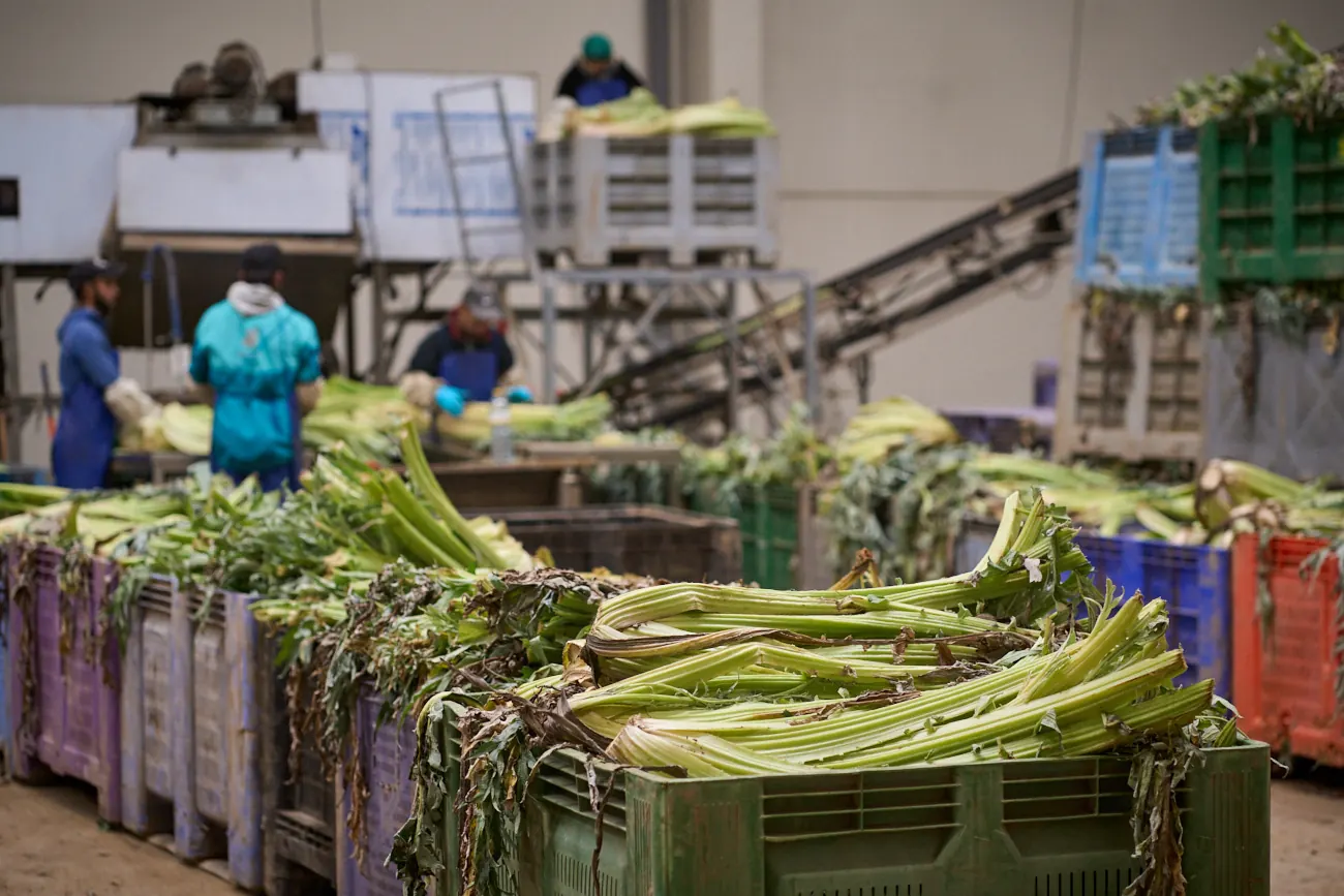 La empresa familiar navarra ya vende sus productos en supermercados y grandes superficies de Navarra, País Vasco, La Rioja, Cantabria y Madrid.