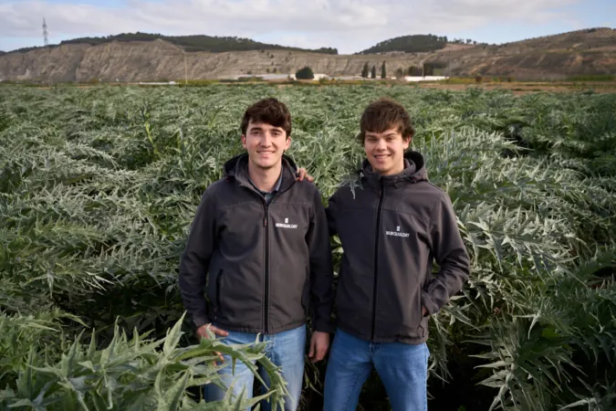 Los dos jóvenes que han convertido una empresa de Azagra en referente de la producción integral de cardo