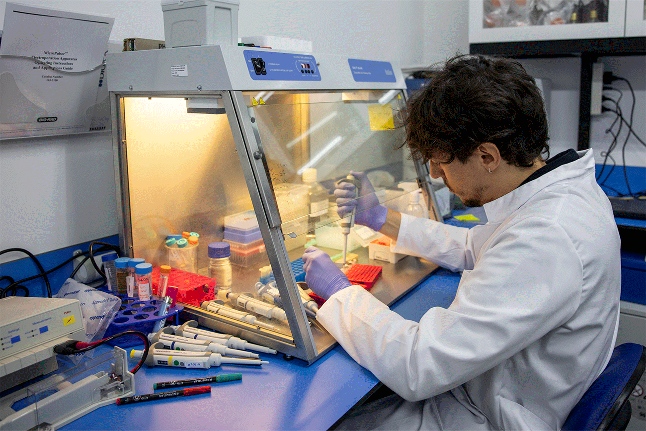 La sede navarra de la empresa Nanogrow se encuentra en los Viveros de Innovación de CEIN.