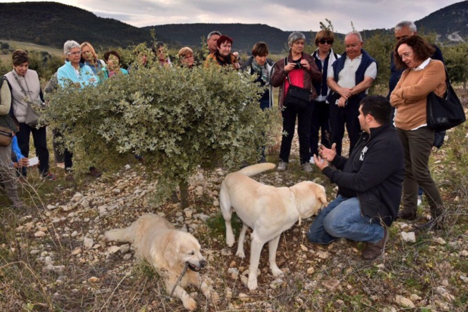 Ecoexperiencias de verano al abrigo de la Sierra de Urbasa y Andía